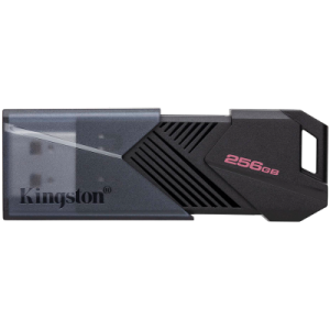 Преносима памет KINGSTON 256GB DTXON USB 3.2