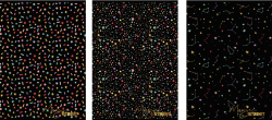 Тетрадка с телчета А4, 60л, широки редове, БГ, Black&Gold