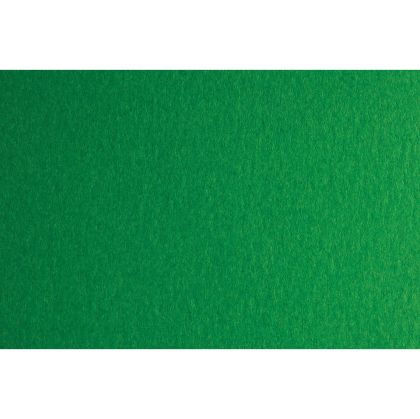 Fabriano Картон Colore, 50 x 70 cm, 200 g/m2, № 231, зелен