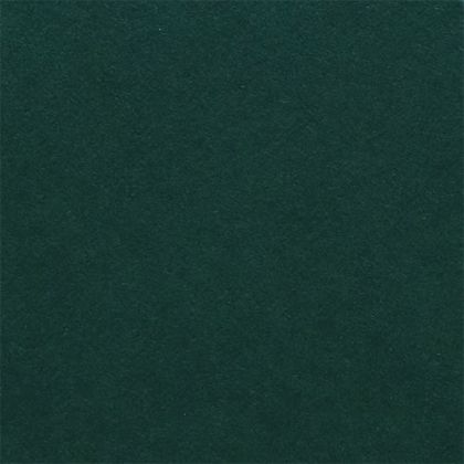 Fabriano Картон Elle Erre, 70 x 100 cm, 220 g/m2, № 128, тъмнозелен