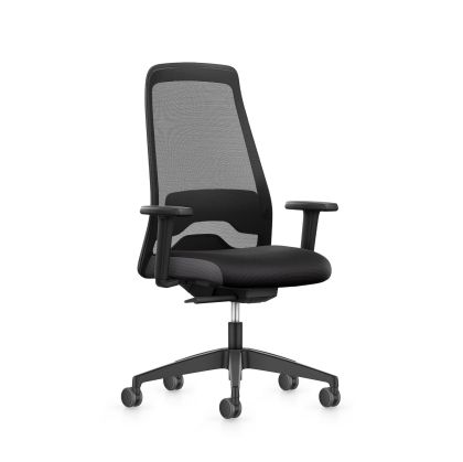 Ергономичен стол Interstuhl Every EV257, текстил, Autolift механизъм, полиамидна основа, черен