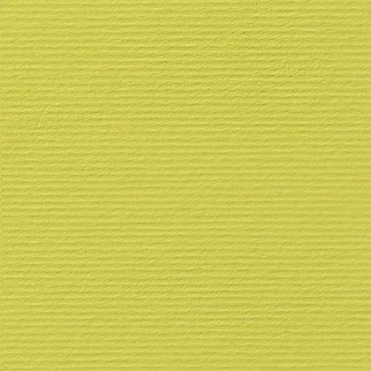 Fabriano Картон Elle Erre, 70 x 100 cm, 220 g/m2, № 125, кедър