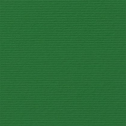 Fabriano Картон Elle Erre, 70 x 100 cm, 220 g/m2, № 111, зелен