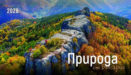 Настолна пирамидка 12-листова, 2026, Природа България