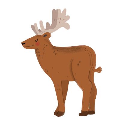 STEM Стикер, За най-малките, комплект P2, 150 cm, стикер 3