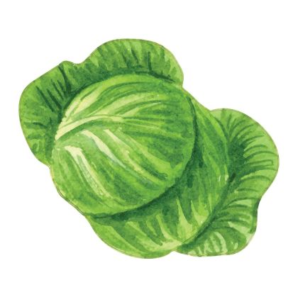 STEM Стикер, За най-малките, комплект P5, 80 cm, стикер 1