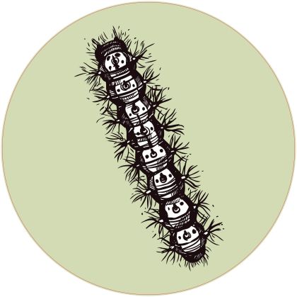 STEM Стикер, Природни науки - Биология, комплект F6, 80 cm, стикер 6