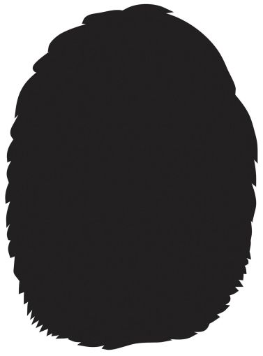 STEM Стикер, Зала за дигитални изкуства, комплект B6, 100 cm, стикер 8