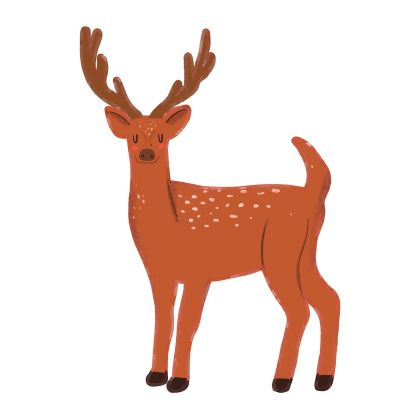 STEM Стикер, За най-малките, комплект P2, 80 cm, стикер 4