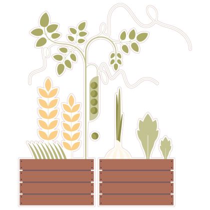 STEM Стикер, Природни науки - Биология, комплект F10, 100 cm, стикер 3
