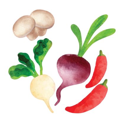 STEM Стикер, За най-малките, комплект P5, 150 cm, стикер 4