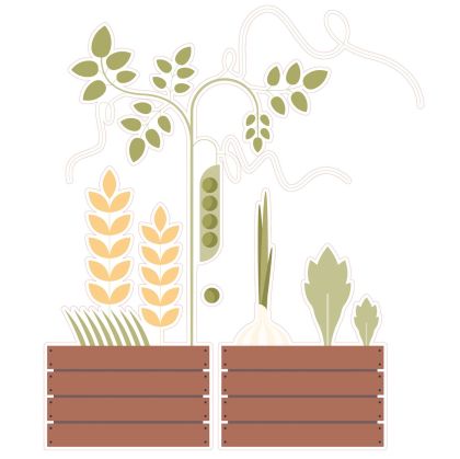 STEM Стикер, Природни науки - Биология, комплект F10, 150 cm, стикер 3