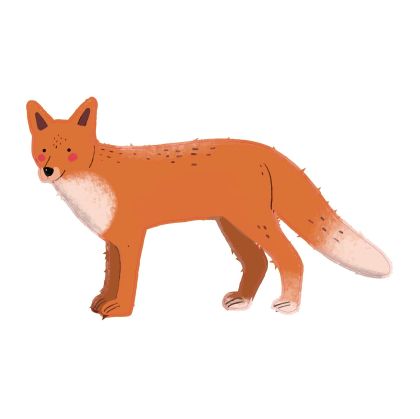 STEM Стикер, За най-малките, комплект P2, 80 cm, стикер 1