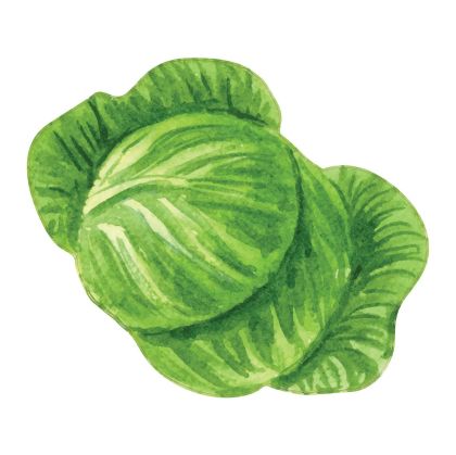 STEM Стикер, За най-малките, комплект P5, 100 cm, стикер 1