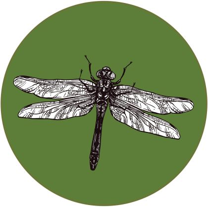 STEM Стикер, Природни науки - Биология, комплект F6, 100 cm, стикер 7