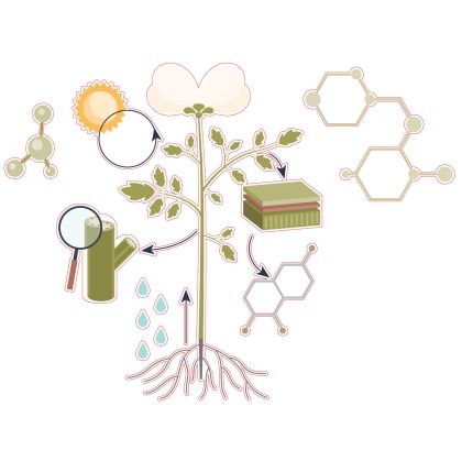 STEM Стикер, Природни науки - Биология, комплект F10, 50 cm, стикер 10