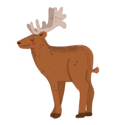 STEM Стикер, За най-малките, комплект P2, 50 cm, стикер 3