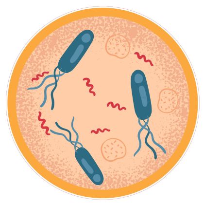 STEM Стикер, Природни науки - Биология, комплект F7, 80 cm, стикер 3