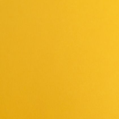 Fabriano Картон Elle Erre, 70 x 100 cm, 220 g/m2, № 103, охра