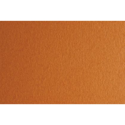 Fabriano Картон Colore, 70 x 100 cm, 140 g/m2, № 223, светлокафяв