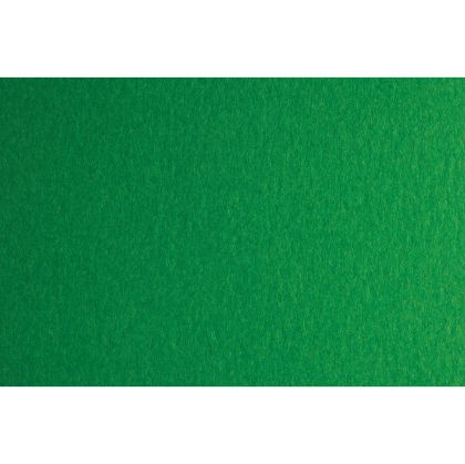 Fabriano Картон Colore, 70 x 100 cm, 200 g/m2, № 231, зелен