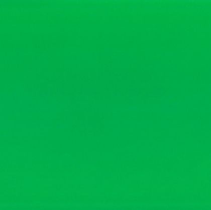 Fabriano Картон Elle Erre, 50 x 70 cm, 220 g/m2, № 111, зелен