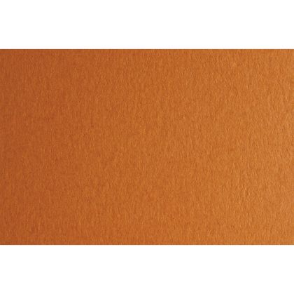 Fabriano Картон Colore, 50 x 70 cm, 140 g/m2, № 223, светлокафяв