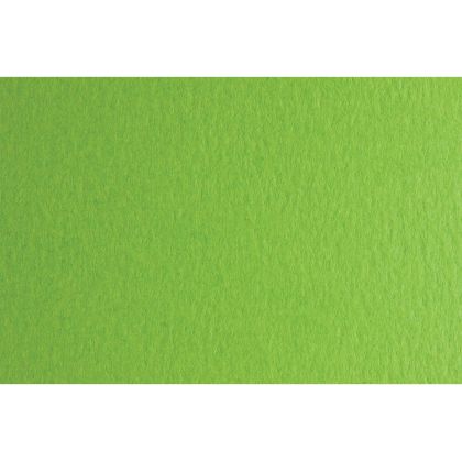 Fabriano Картон Colore, 70 x 100 cm, 140 g/m2, № 230, тревистозелен
