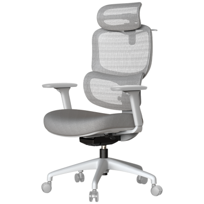 Ергономичен стол ZARDAB - сив