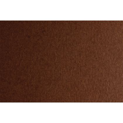 Fabriano Картон Colore, 50 x 70 cm, 200 g/m2, № 226, кафяв