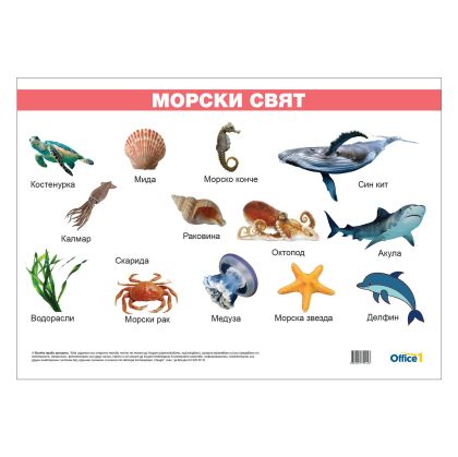 Office 1 Ученическо табло ''Морски свят'', ламинирано, 50 x 70 cm, модел 2