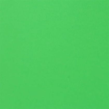 Fabriano Картон Colore, 50 x 70 cm, 200 g/m2, № 230, тревистозелен