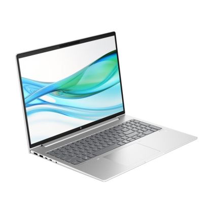 Лаптоп HP Probook 465 G11, 16'', AMD Ryzen 5, IPS WUXGA, 512 GB SSD, 16 GB RAM, AMD Radeon RX 6600M, сребрист