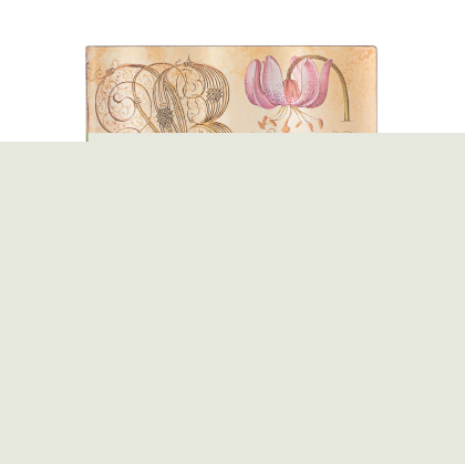 Paperblanks Тефтер Lily&Tomato, 180 х 230 mm, широки редове, мека корица, 88 листа