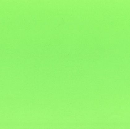 Fabriano Картон Elle Erre, 50 x 70 cm, 220 g/m2, № 110, тревистозелен