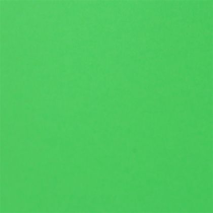 Fabriano Картон Colore, 50 x 70 cm, 200 g/m2, № 230, тревистозелен