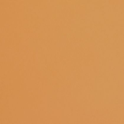 Fabriano Картон Colore, 70 x 100 cm, 200 g/m2, № 223, светлокафяв