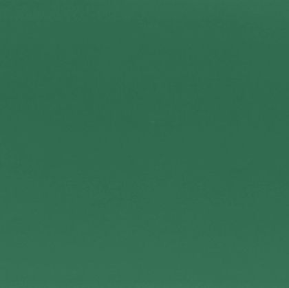 Fabriano Картон Elle Erre, 50 x 70 cm, 220 g/m2, № 128, тъмнозелен