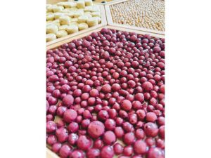 Nowa Szkola Сензорна пътека с хексагони, 7 елемента