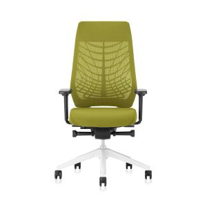 Eргономичен стол Interstuhl Joyce JC267, дамаска и меш, Synchronous механизъм, до 120 kg, светлосив/зелен