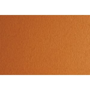 Fabriano Картон Colore, 50 x 70 cm, 200 g/m2, № 223, светлокафяв