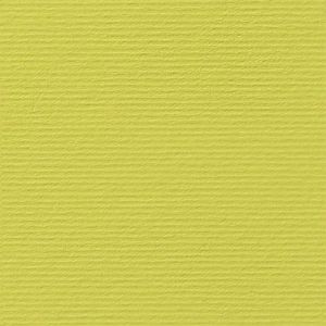 Fabriano Картон Elle Erre, 70 x 100 cm, 220 g/m2, № 125, кедър