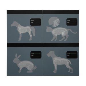 Small Foot Ветеринарна чанта, с медицинско оборудване и зайче