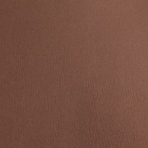 Fabriano Картон Elle Erre, 70 x 100 cm, 220 g/m2, № 106, тъмнокафяв