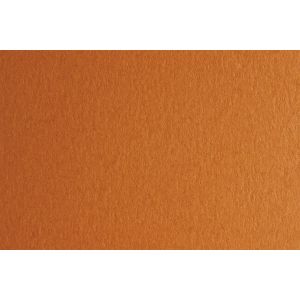 Fabriano Картон Colore, 50 x 70 cm, 140 g/m2, № 223, светлокафяв