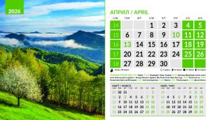 Настолна пирамидка 12-листова, 2026, Природа България