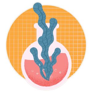 STEM Стикер, Природни науки - Биология, комплект F7, 50 cm, стикер 1