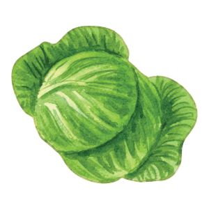 STEM Стикер, За най-малките, комплект P5, 50 cm, стикер 1