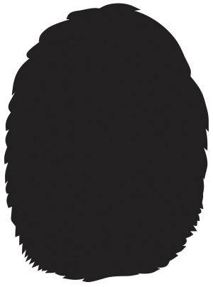 STEM Стикер, Зала за дигитални изкуства, комплект B6, 100 cm, стикер 8