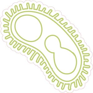 STEM Стикер, Природни науки - Биология, комплект F5, 80 cm, стикер 6